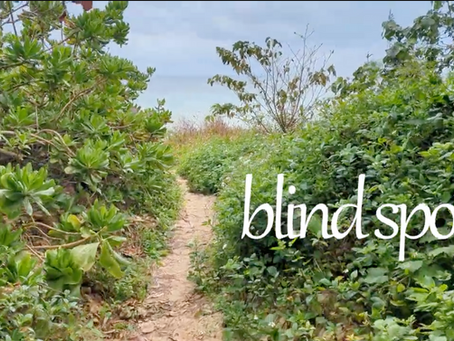 blindspot-cover
