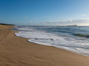 Ultimate Guide to Sunshine Coast Holiday Planning