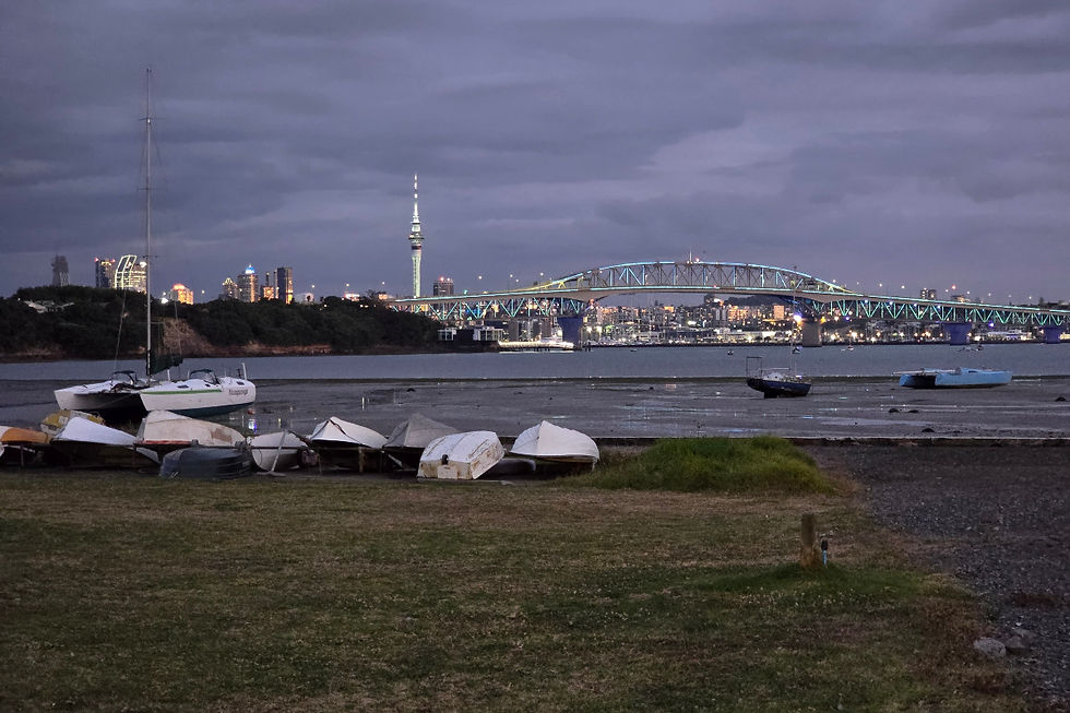 Dinghies on the shore with Auckland lit up at dusk behind them
