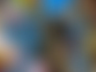 A kereru in a flowering magnolia tree