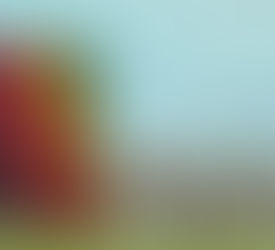 Los tres looks con los que triunfarás en festivales