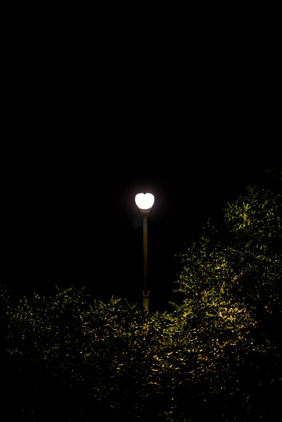 If I were a streetlamp