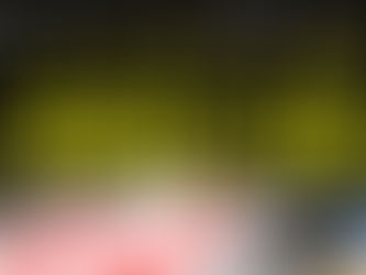 7月19日に神奈川リハビリテーション病院でパラスポーツ体験会が行われます。