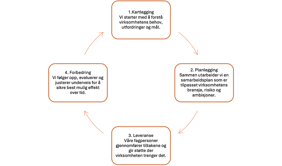 Vi sikrer en god leveranse til deg gjennom fire steg: Kartlegging - Planlegging - Leveranse - Forbedring