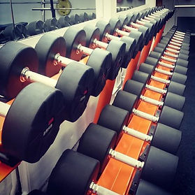 Basic Gym