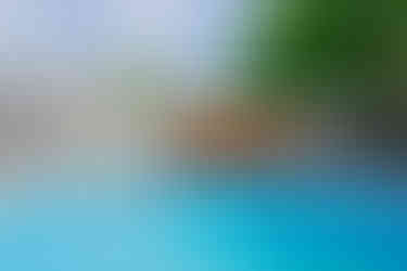 Cedar shingles edge a side of the home for an covered patio/outdoor space in this Western MA home. Lot's of plans surround the furniture. There's a huge in ground pool with bright blue water.