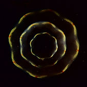 Thailand 2015 - Underwater Photography