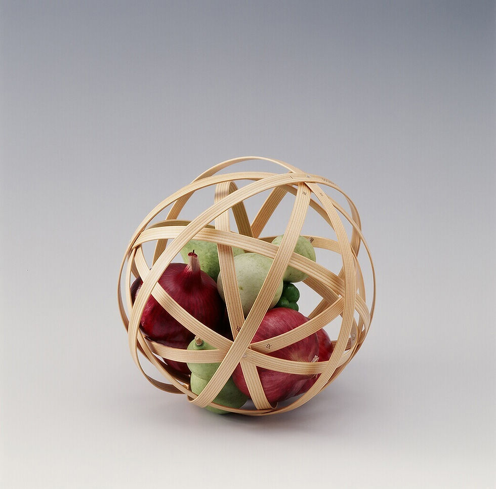 ソラリス, ディスプレイバス  ケット