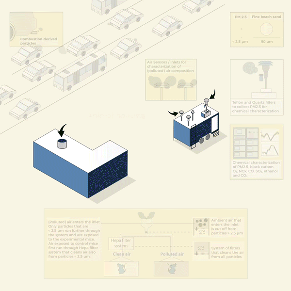 Animated GIF Lumiar.gif