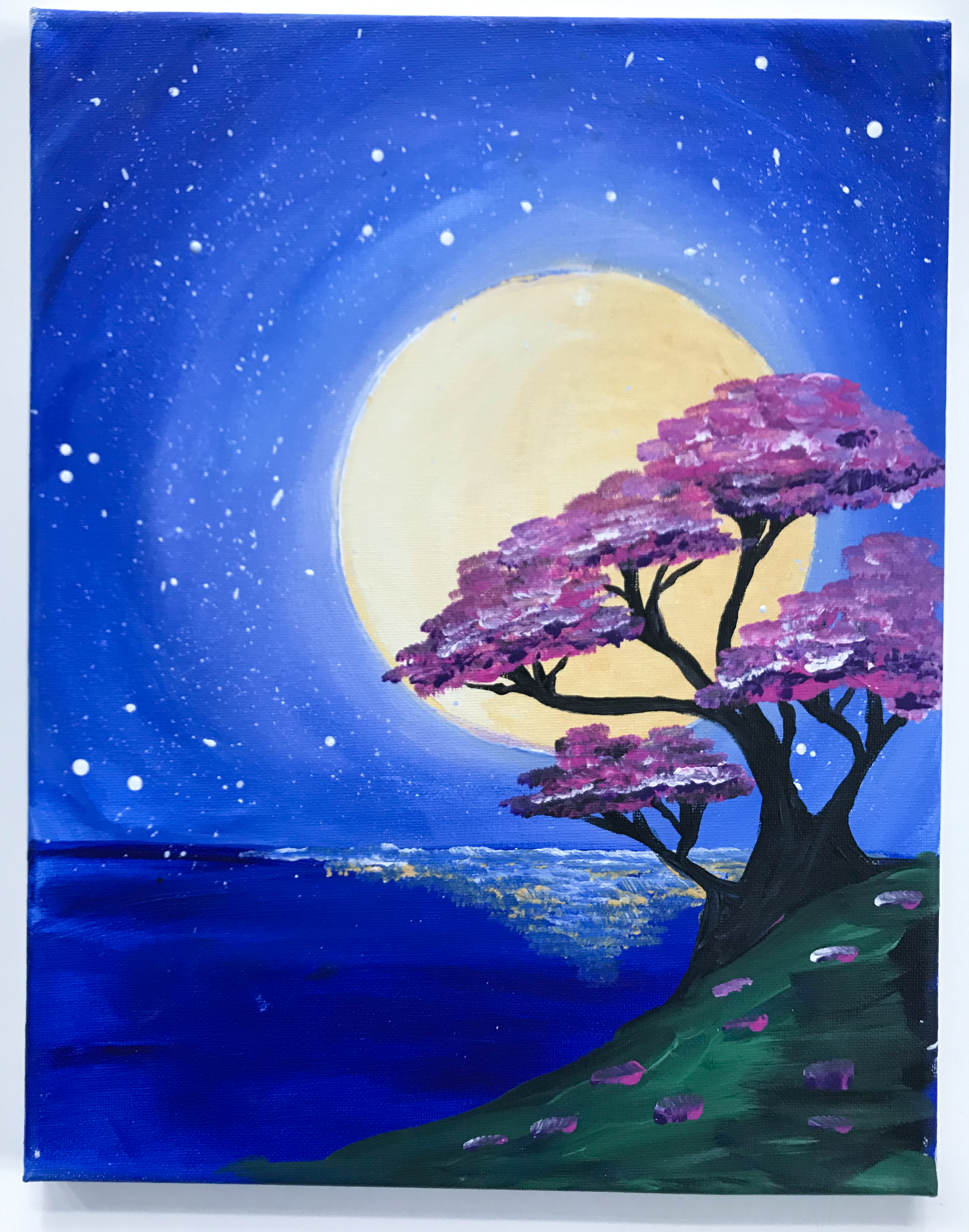 Full Moon Cherry Blossoms