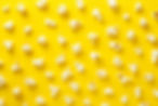 pop-1024x683.jpg