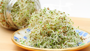 Why Sprouts Are a Superfood for Breastfeeding Moms: Benefits, Safety, and Tips