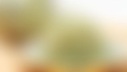 Why Sprouts Are a Superfood for Breastfeeding Moms: Benefits, Safety, and Tips