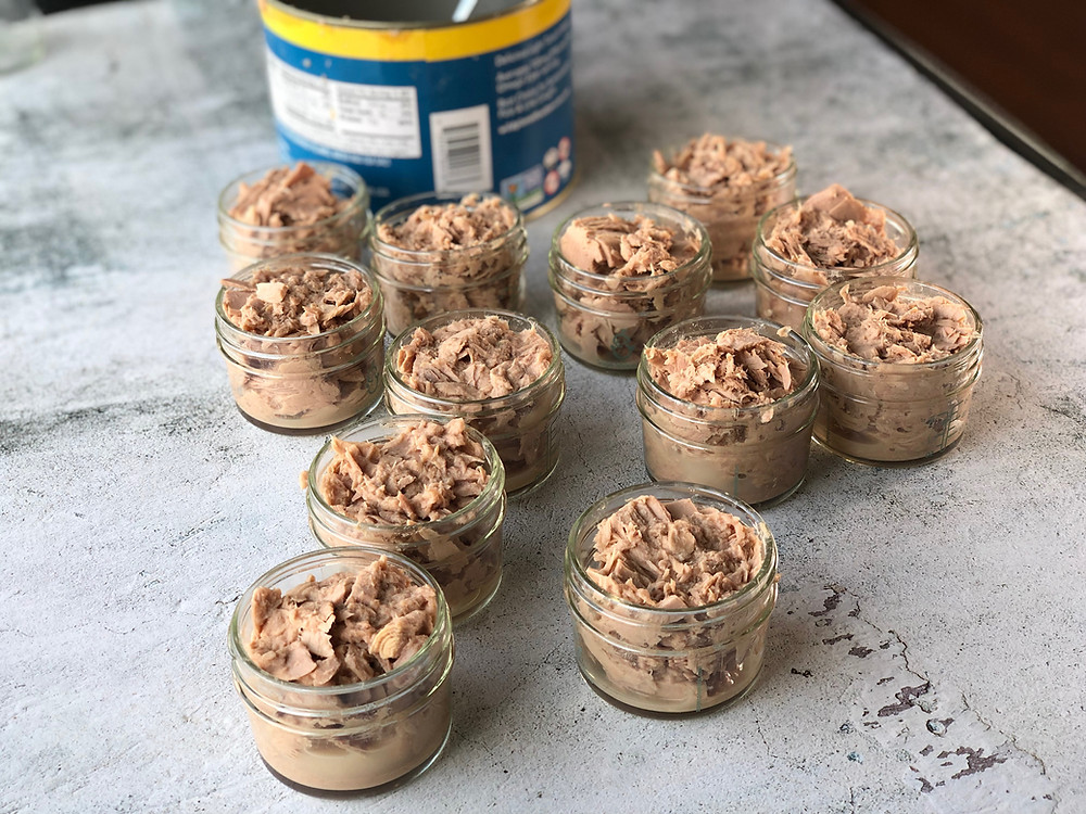 How to freeze tuna