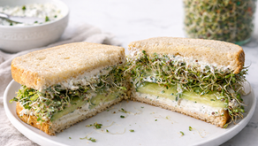 Are Sprouts Safe During Pregnancy and Breastfeeding? A Dietitian Answers