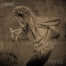Liam O'Maonlai-PRAYER-Plankton Records 2025.png