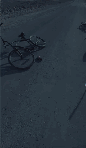 cycle.gif