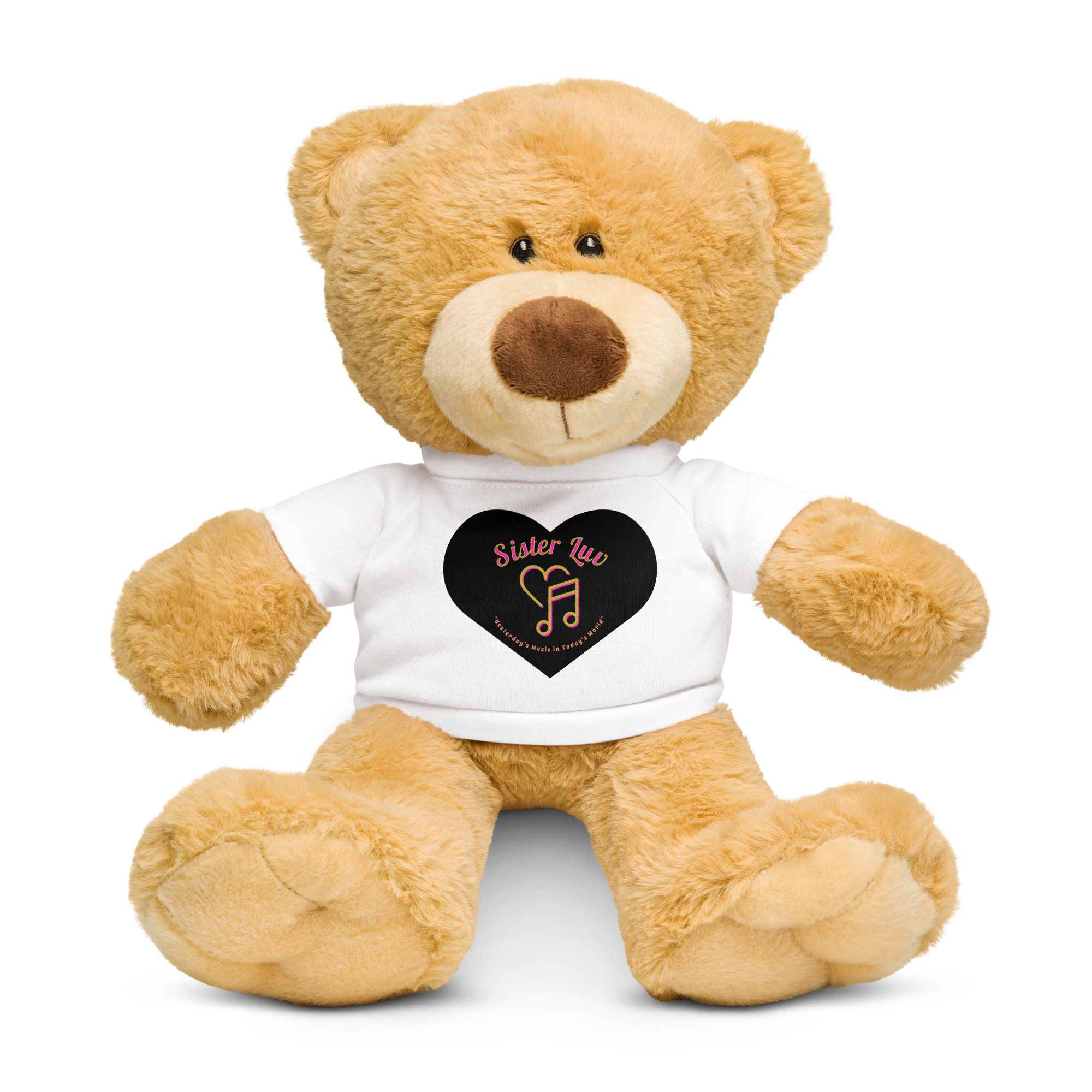 Teddy bear with a t-shirt
