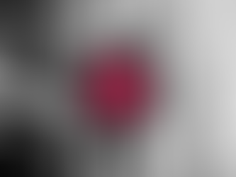 2026 Sales/Price/Walsh