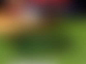 北九州下関フェニックスの杉航(すぎわたる)選手へ、野球用の度付きサングラスをお作りしました!