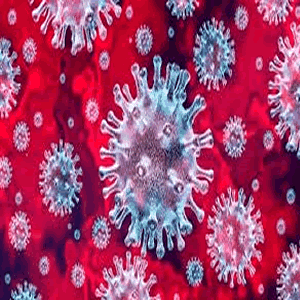 Coronavirus Essay Topics LOGO.gif