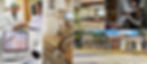 Website-Home-Page-Masthead-new-clinic-exterior-1200x524-v2.jpg