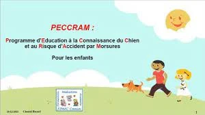 téléchargement.webp
