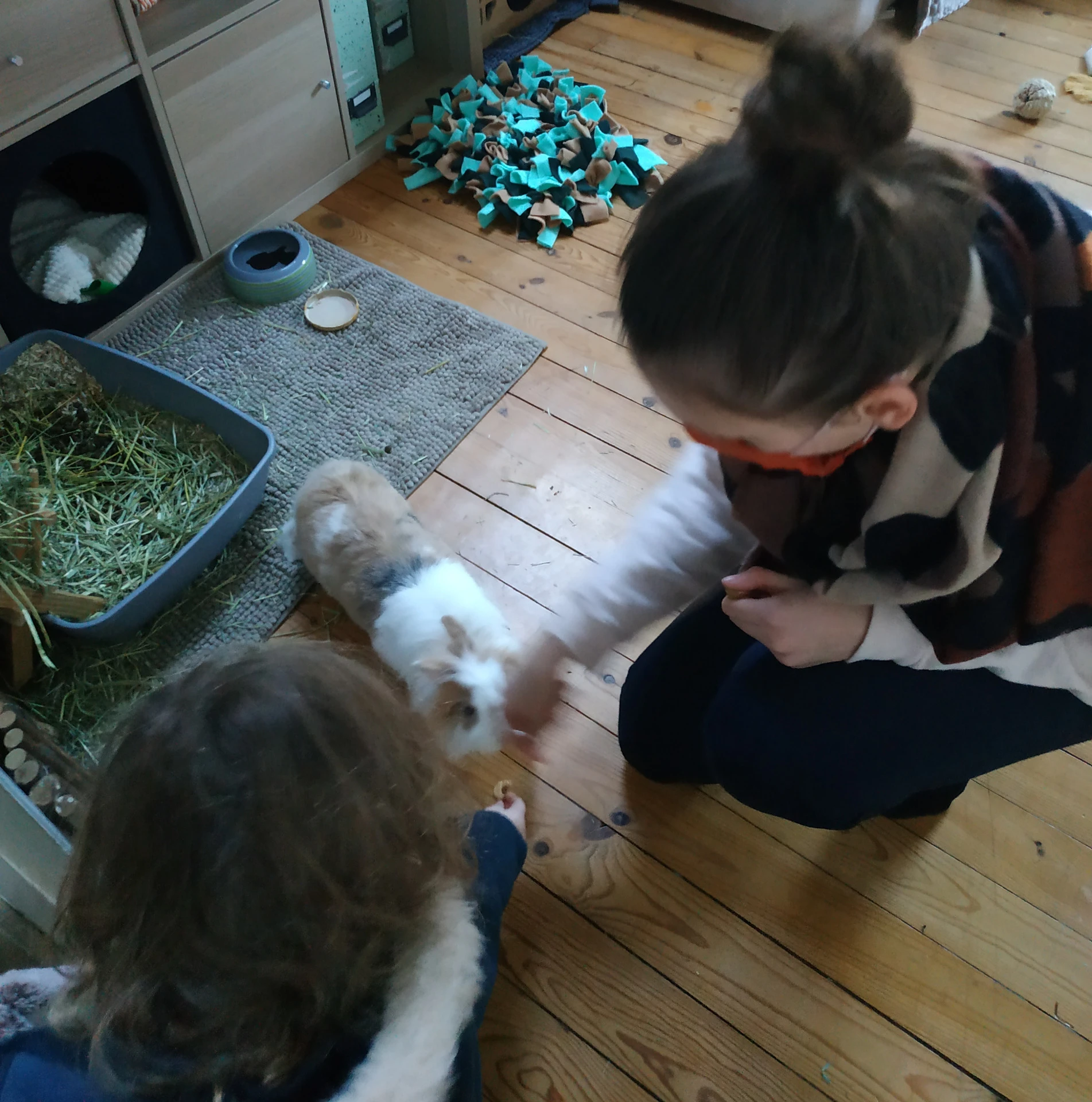 IMG_20210123_213232.webp