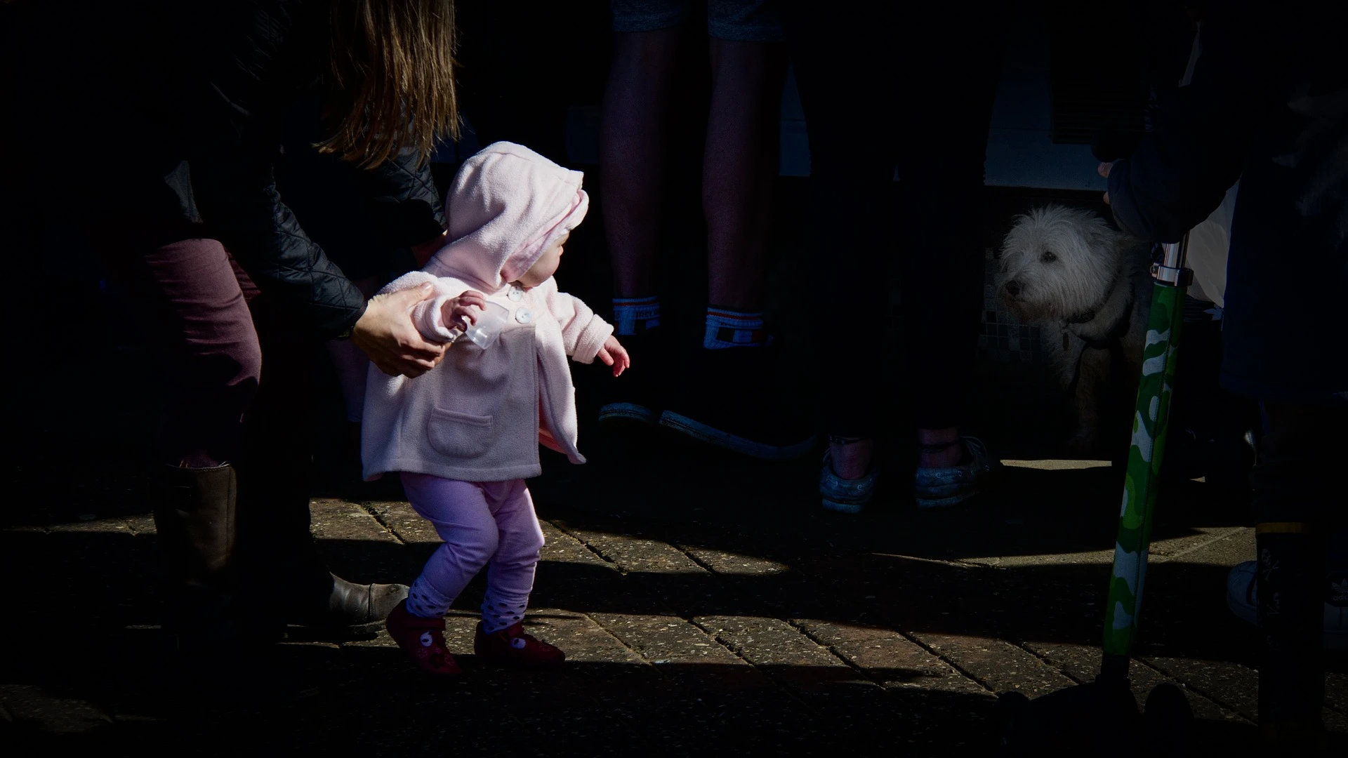 fear-g702c55851_1920.webp