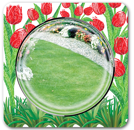 Tulip Border Square Dome Mirror