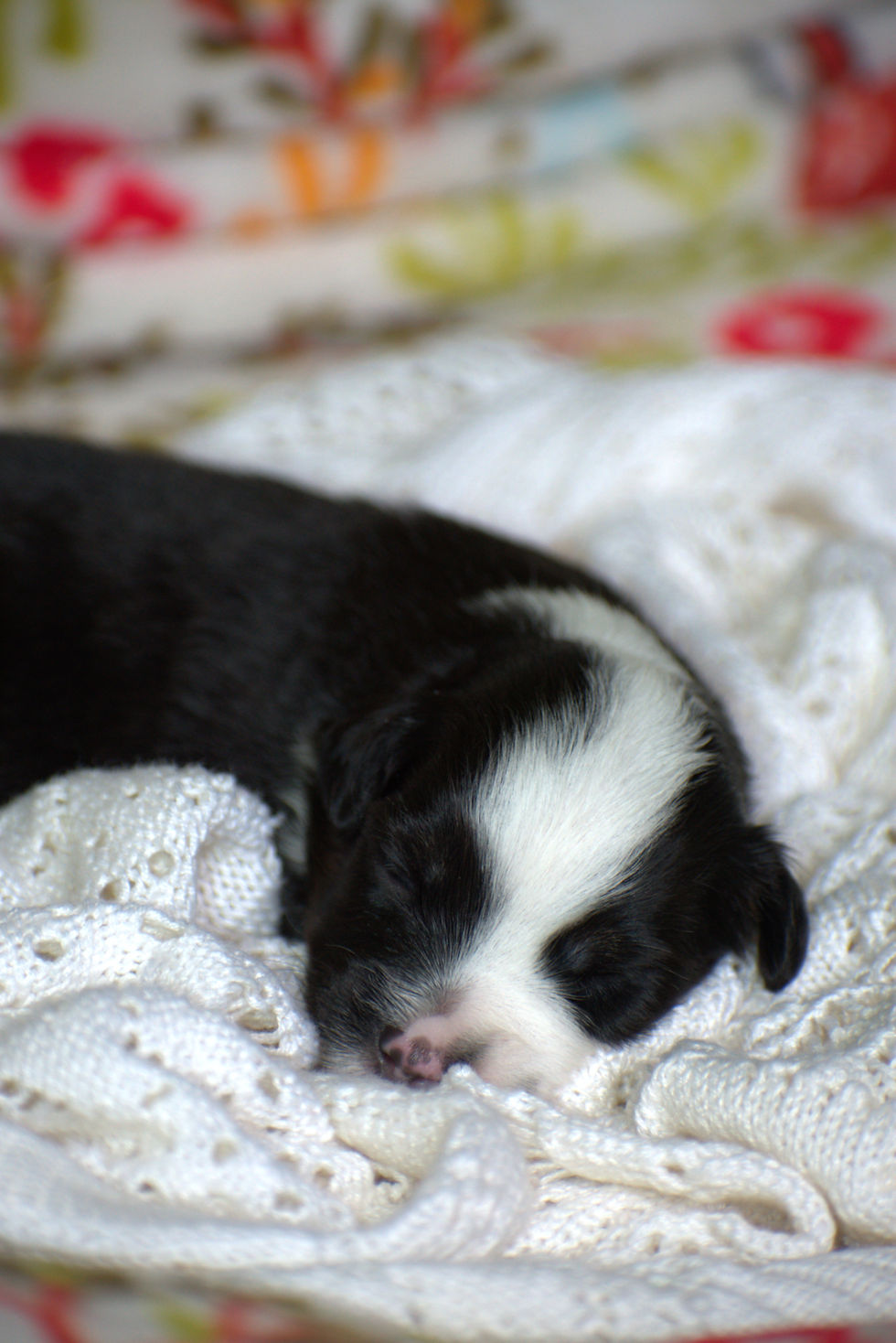 DSC_0165_edited