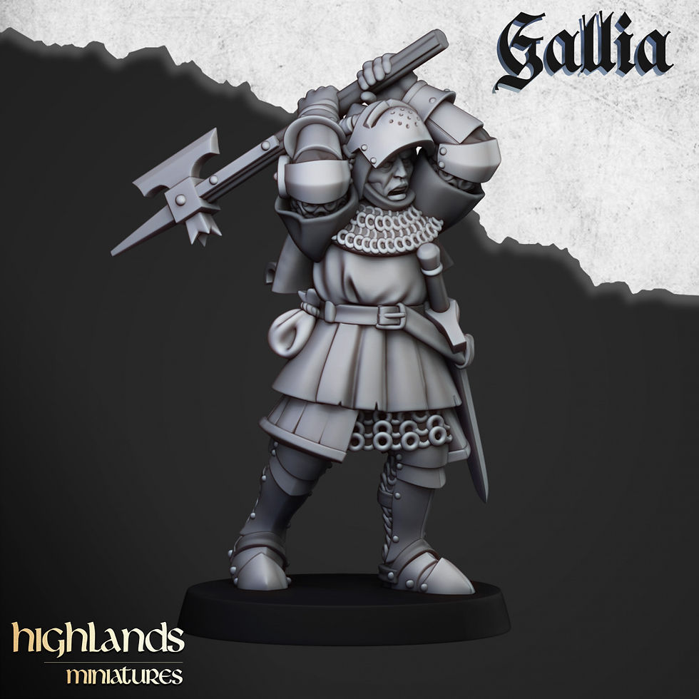 Miniature : Knights of Gallia on Foot