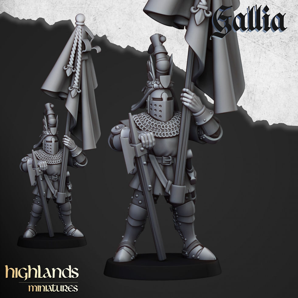 Miniature : Knights of Gallia on Foot