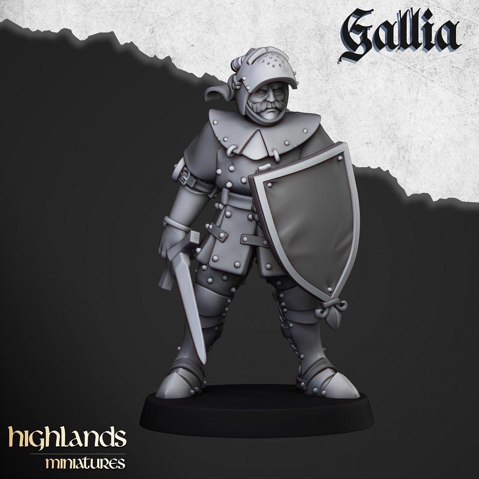 Miniature : Knights of Gallia on Foot