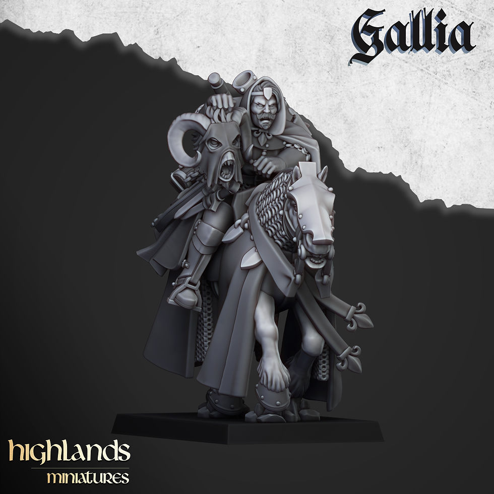 Miniature : Questing Knights of Gallia