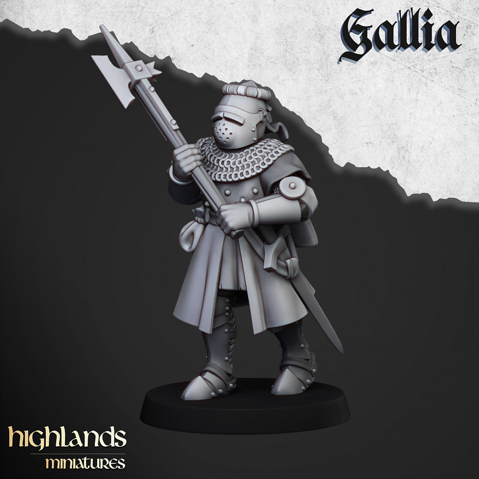 Miniature : Knights of Gallia on Foot