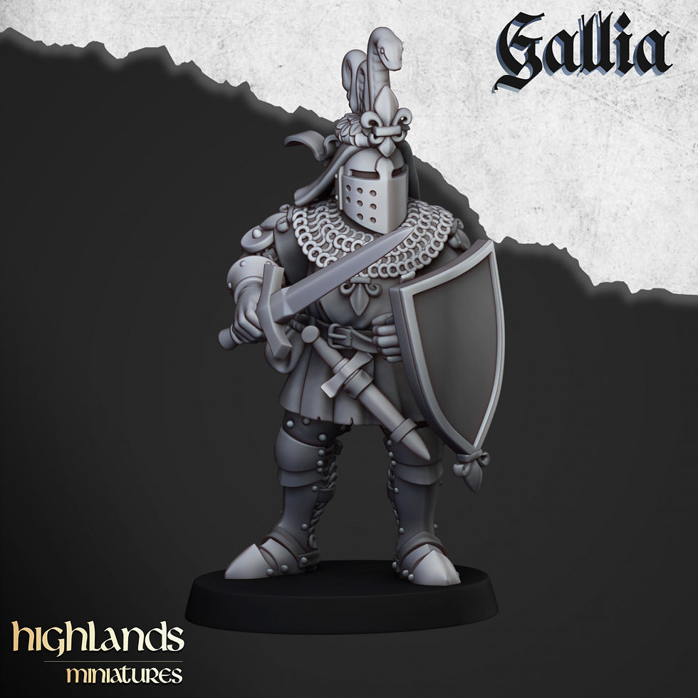 Miniature : Knights of Gallia on Foot