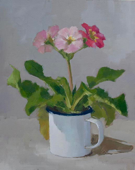 Primula in Enamel Mug