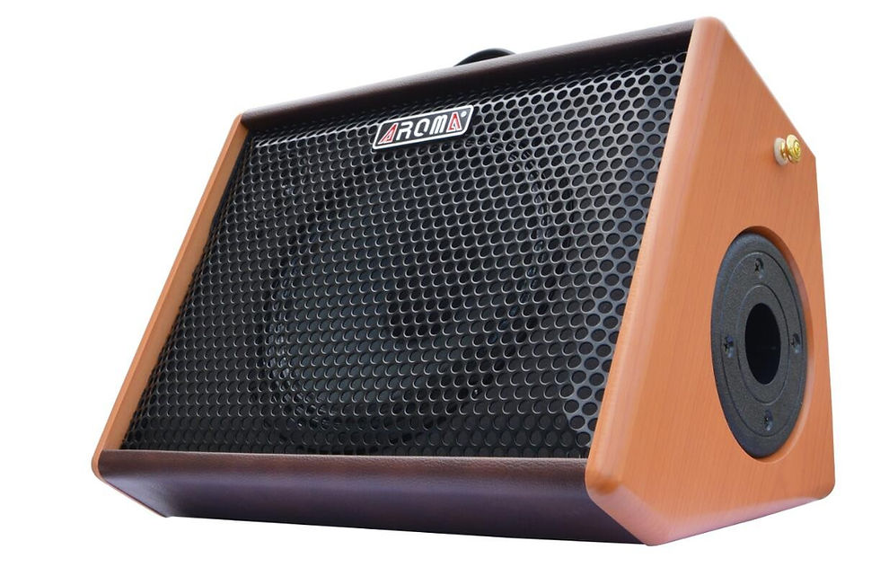 Aroma Portable Acoustic Guitar Amplifier (25 Watt)