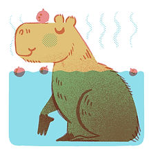 Capybara.jpg