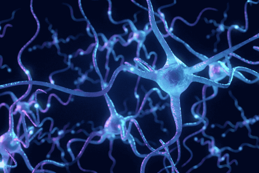 Website-NeuronsSmallV2.gif