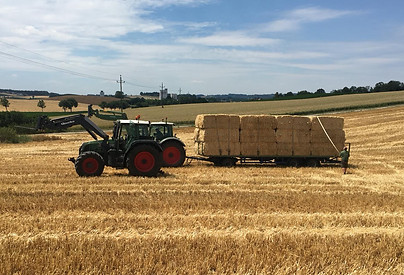 Quaderballenpresse, Lohnunternehmen Ganser, LU Ganser, Lohnunternehmen, Ganser, Puchenau, Urfahr, Linz, Oberösterreich, 