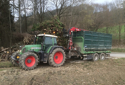 Kranwagen, Lohnunternehmen Ganser, LU Ganser, Lohnunternehmen, Ganser, Puchenau, Urfahr, Linz, Oberösterreich, 