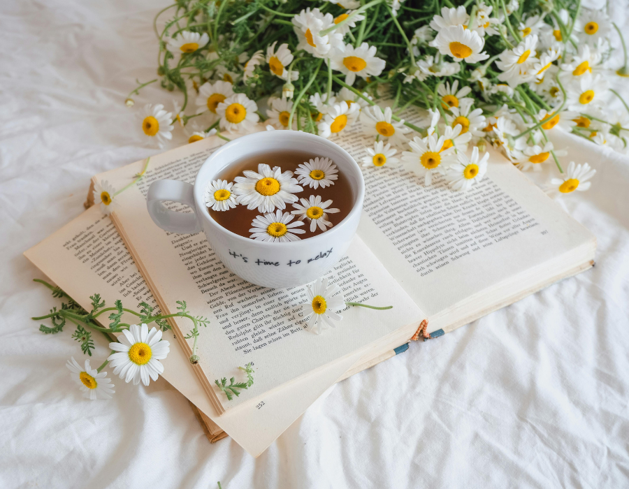 Poèmes d’une saison d’été