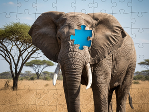 The First Bite: Making Radical Rest Manageable