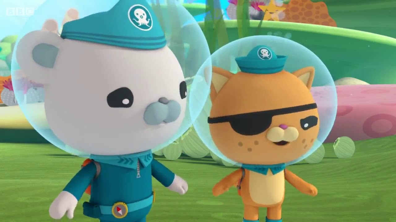 Octonauts, writer