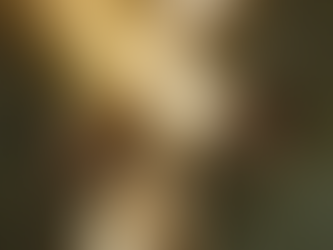 Le phénomène de la dépersonnalisation