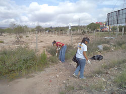 Basura