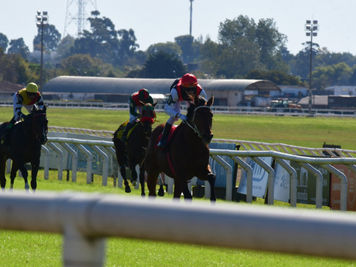 この南米2歳馬(2019年産馬)に注目しよう!