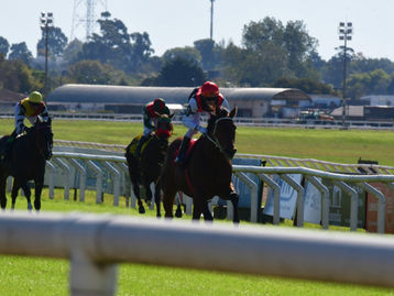 この南米2歳馬(2019年産馬)に注目しよう!